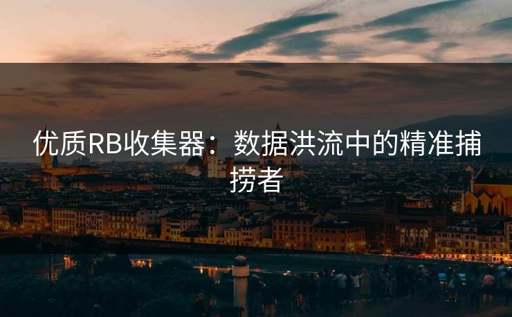 优质RB收集器：数据洪流中的精准捕捞者