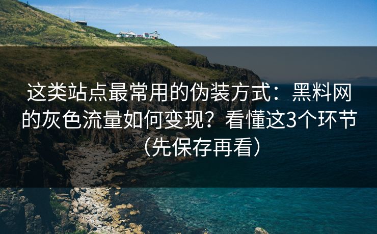 这类站点最常用的伪装方式：黑料网的灰色流量如何变现？看懂这3个环节（先保存再看）
