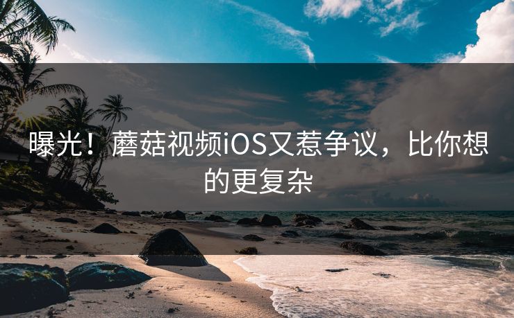 曝光！蘑菇视频iOS又惹争议，比你想的更复杂