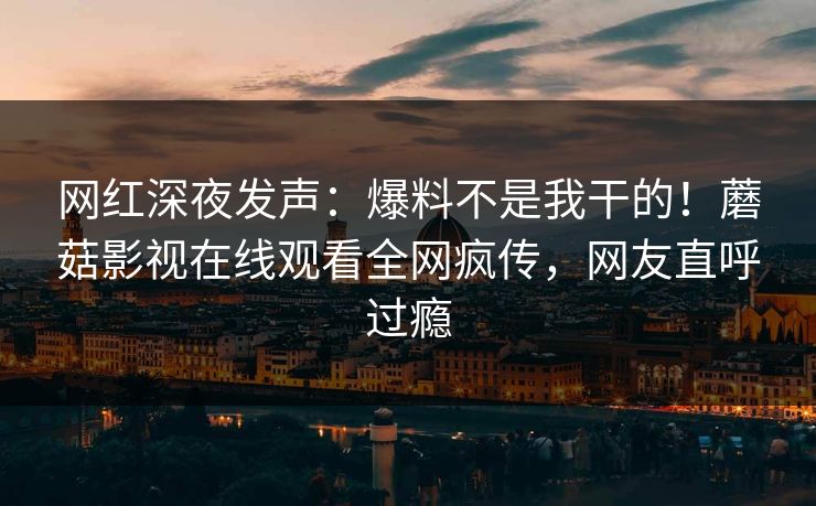 网红深夜发声：爆料不是我干的！蘑菇影视在线观看全网疯传，网友直呼过瘾