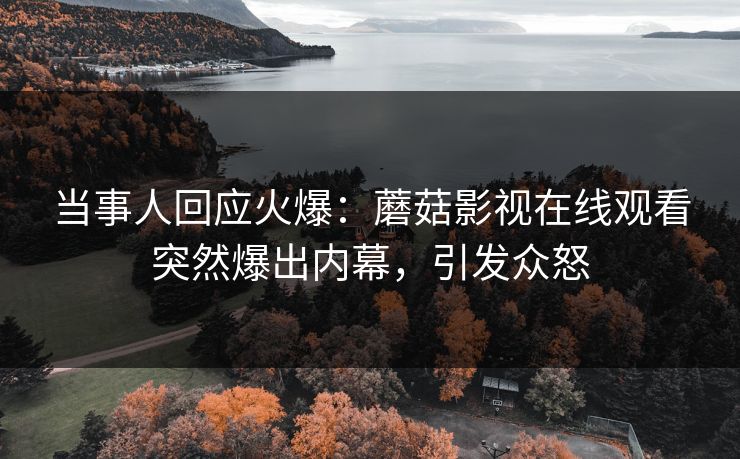 当事人回应火爆：蘑菇影视在线观看突然爆出内幕，引发众怒