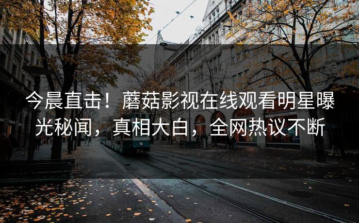 今晨直击！蘑菇影视在线观看明星曝光秘闻，真相大白，全网热议不断