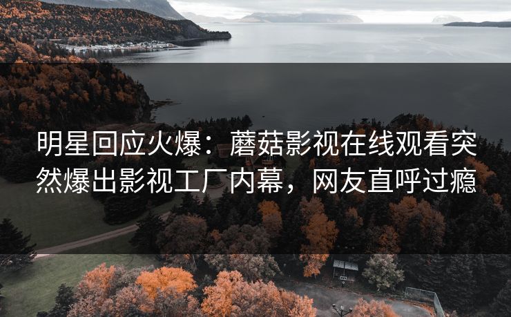 明星回应火爆：蘑菇影视在线观看突然爆出影视工厂内幕，网友直呼过瘾