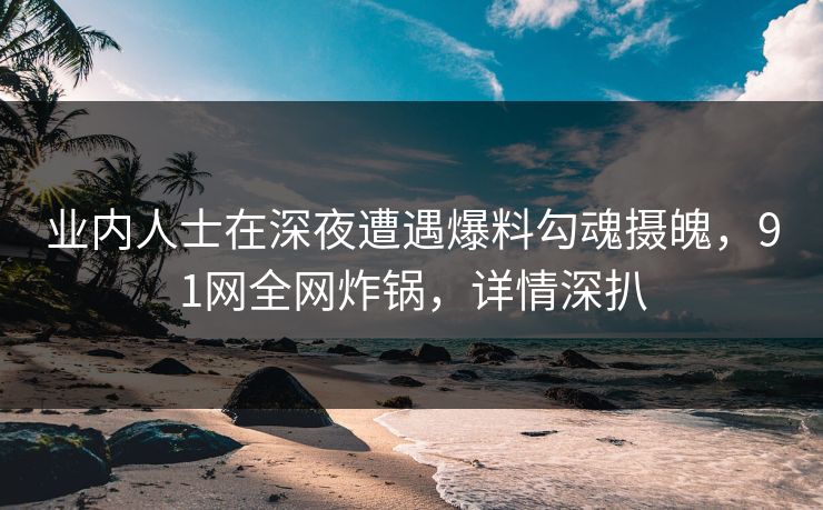 业内人士在深夜遭遇爆料勾魂摄魄，91网全网炸锅，详情深扒