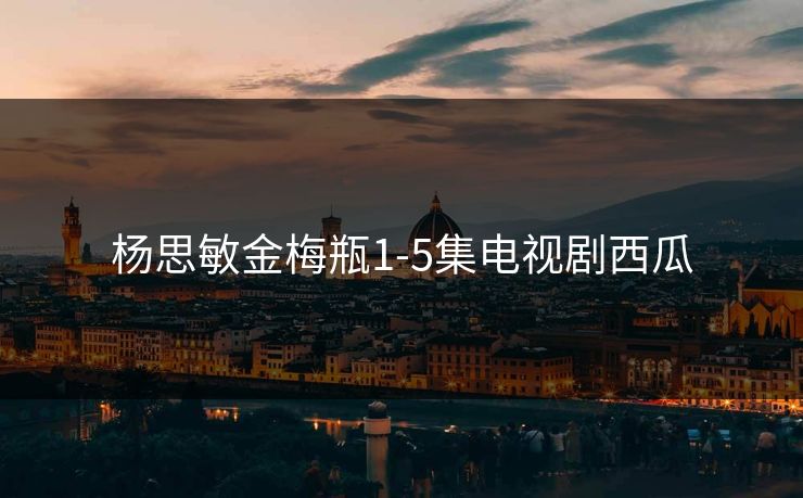 杨思敏金梅瓶1-5集电视剧西瓜