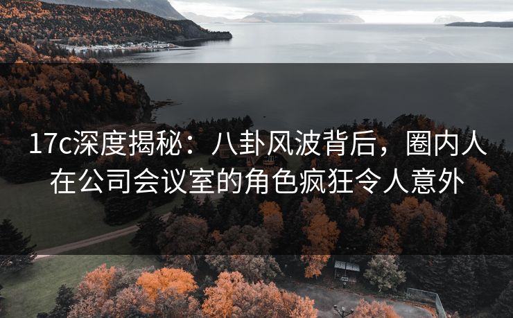 17c深度揭秘：八卦风波背后，圈内人在公司会议室的角色疯狂令人意外